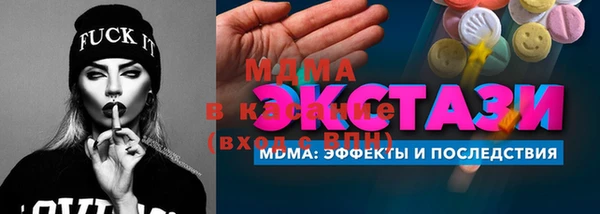 индика Алексин