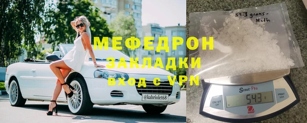 индика Алексин