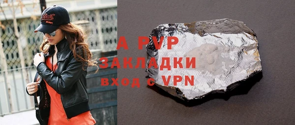 индика Алексин